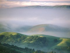 Mystical Morning, Mount Diablo State Park, California